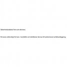 Tershine Magnify - Karnaubavax